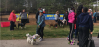 PawsInThePark2-3.24