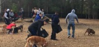 PawsInThePark4-3.24