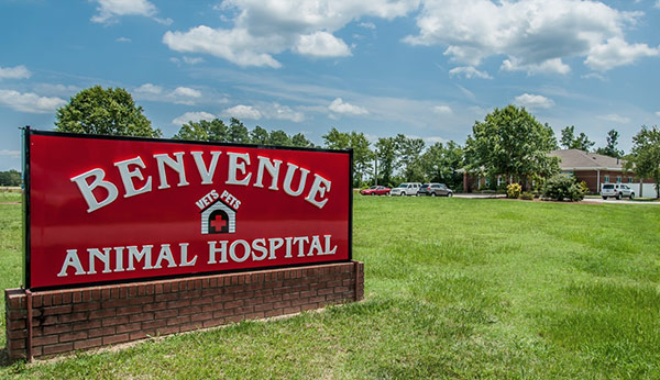 Benvenue Animal Hospital exterior showing sign