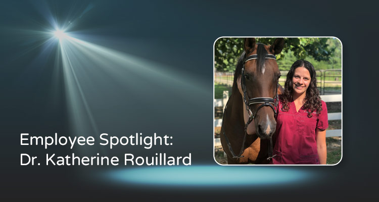 Spotlight Illustration With Sans-serif White Type Overlaying With Photo Of Dr. Katherine Rouillard And Her Horse