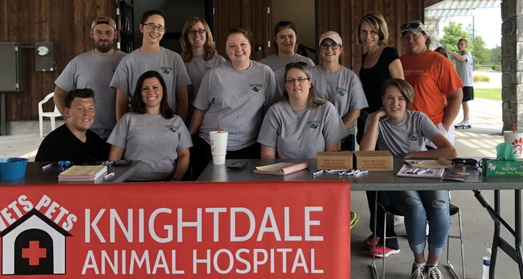 Knightdale Animal Hospital Gathered Around A Table In A Pavilion