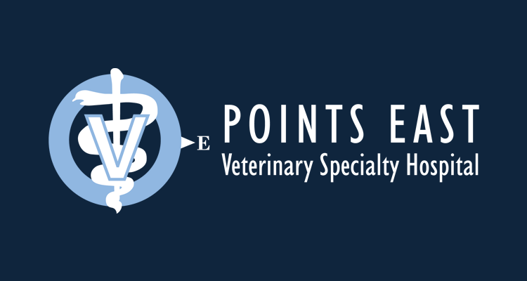 Points East Veterinary Specialty Hospital Logo - White Sans-serif Type With Blue And White Medical Symbol To Left