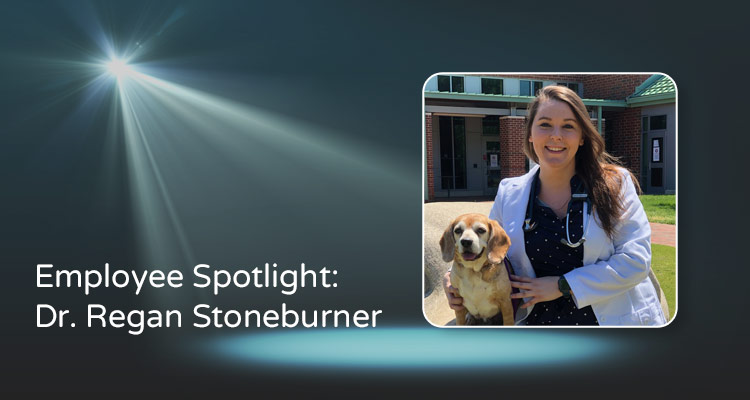 Spotlight illustration with sans-serif white type overlaying with photo of Dr. Regan Stoneburner and her dog