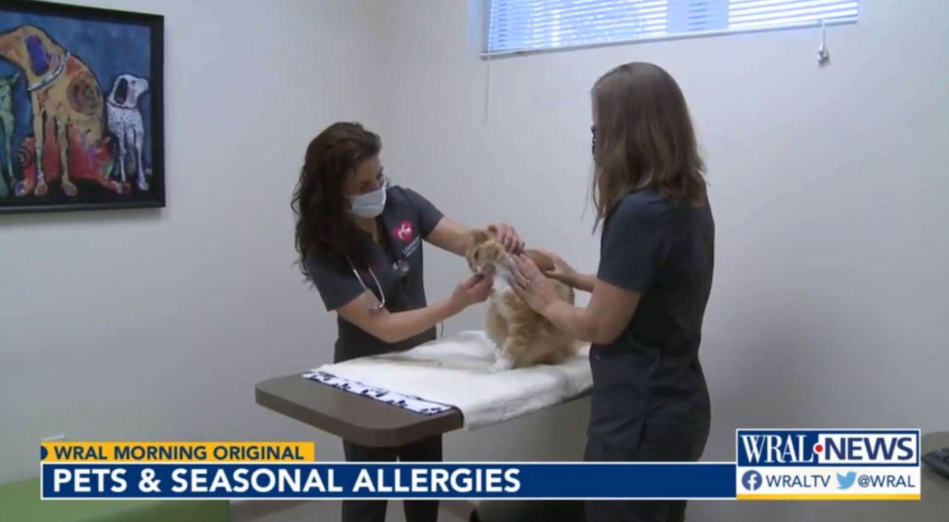 Dr. Jennifer Hummel and Rolesville Veterinary Hospital Featured on WRAL