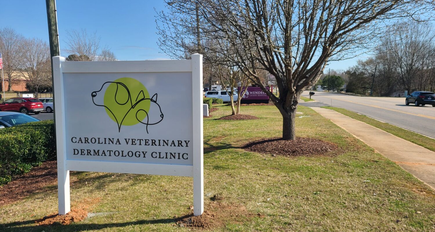 Vets Pets Opens Only Veterinary Dermatology Practice East of Raleigh