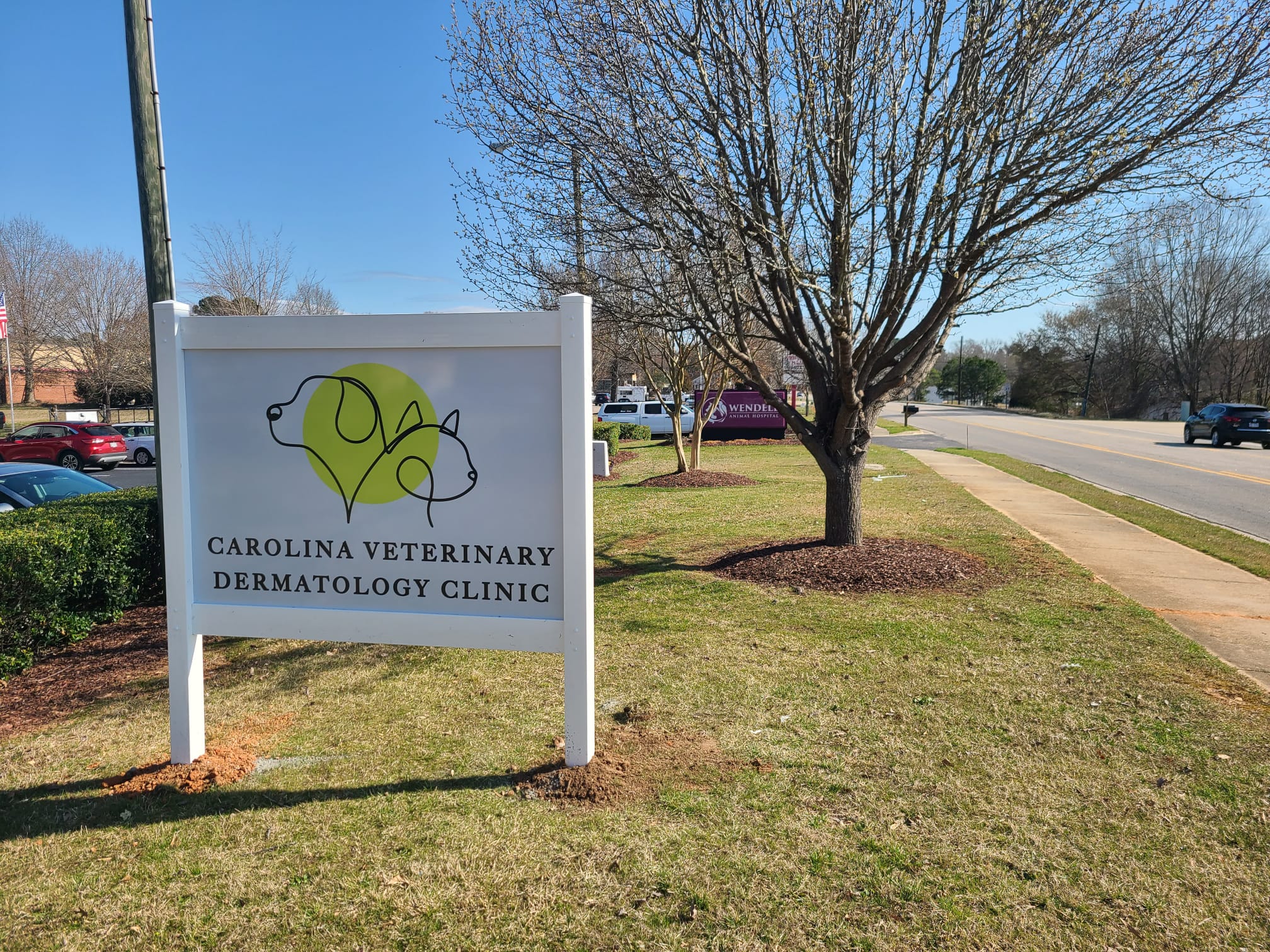 Vets Pets Opens Only Veterinary Dermatology Practice East of Raleigh, North  Carolina