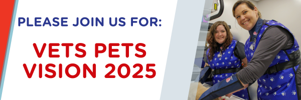 VP Vision 2025