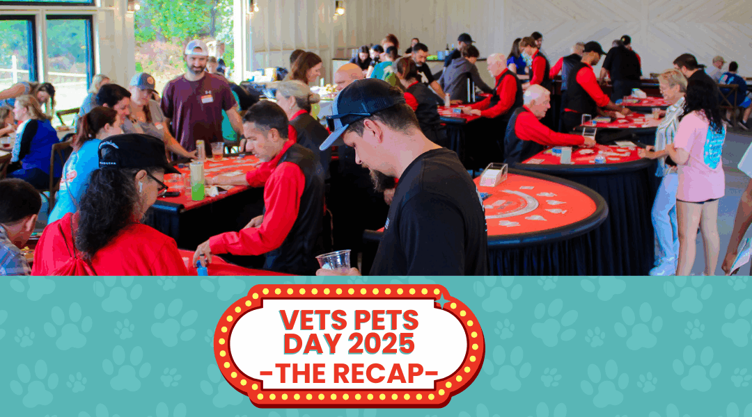 Vets Pets Day 2025 – Recap