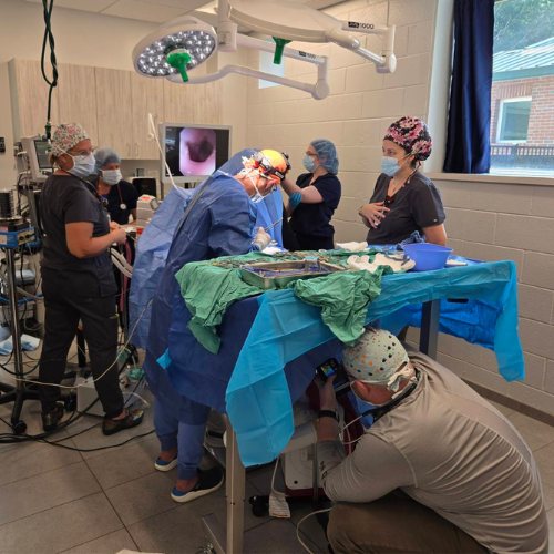 Lil Kim Surgery